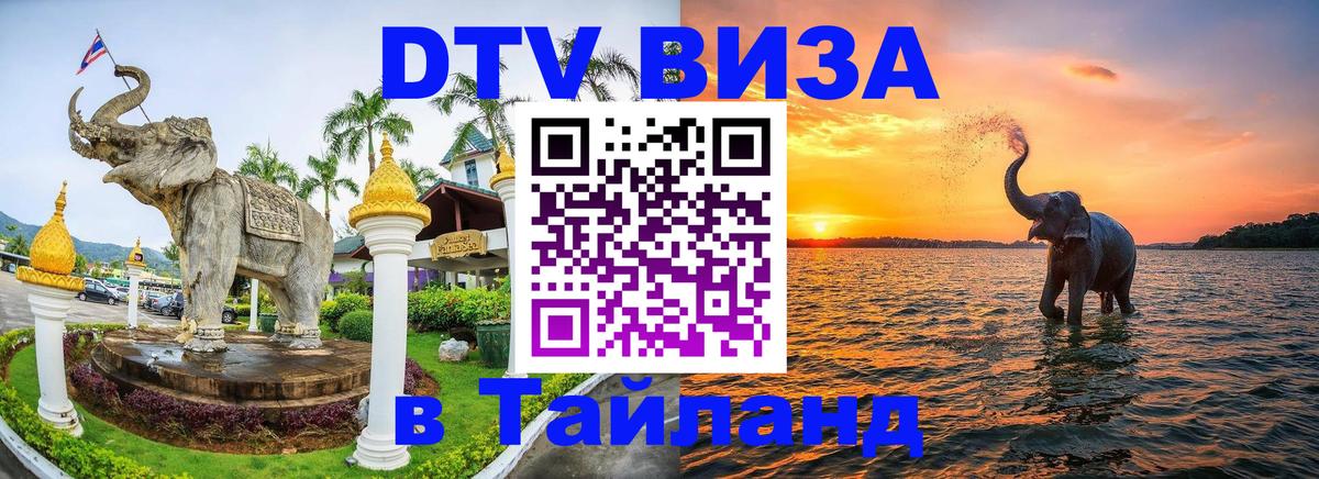 Сколько стоит DTV виза — актуальные цены, оформление даже без документов - Исламабад  20.11.2025 